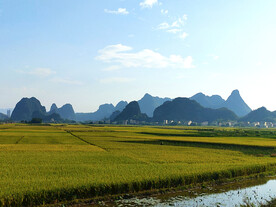 美丽乡村景色