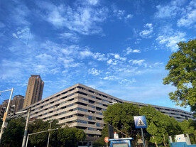 城市建筑