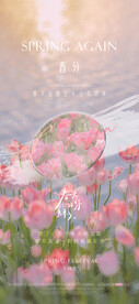春天花卉海报