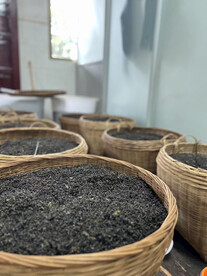 六堡茶茶叶