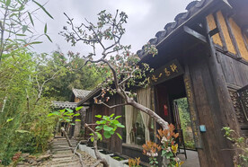 树木景物