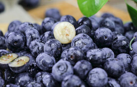 蓝莓
