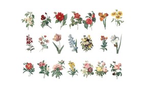 手绘鲜花 
