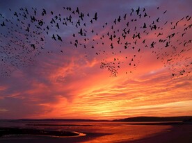 夕阳西下