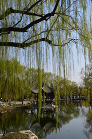  陶然亭风景