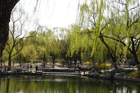  陶然亭风景