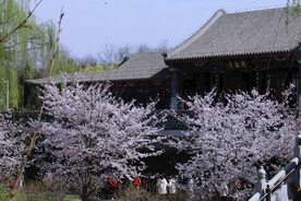  陶然亭风景