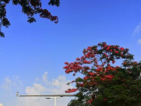 天空