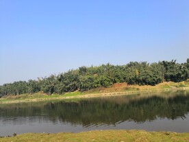 河水