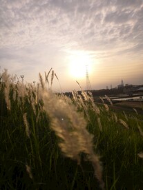 夕阳