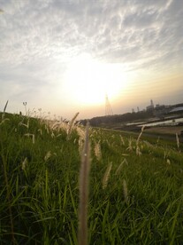 夕阳