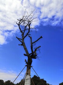 天空