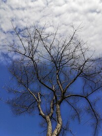 天空