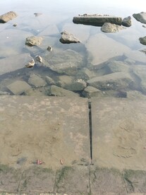 码头