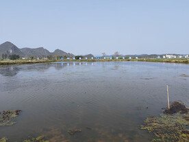 江面小景