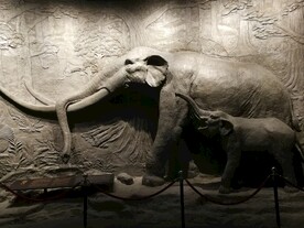 三峡移民纪念馆大象浮雕