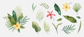 植物花卉素材
