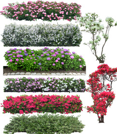 花丛景观