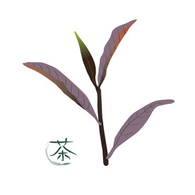 红茶