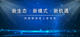 会议背景