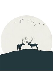 月下麋鹿