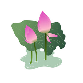 荷花