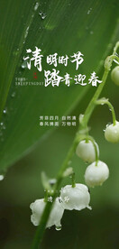 清明节国潮风节气海报