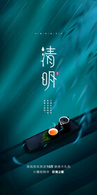 山水意境清明节节气海报