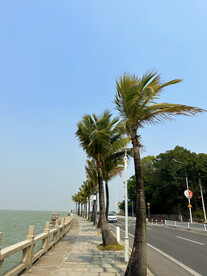 海边