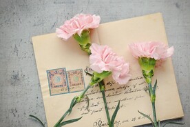 花朵壁纸