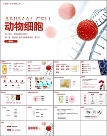 动物细胞