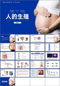 人的生殖