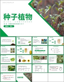 种子植物