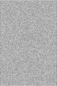 波纹