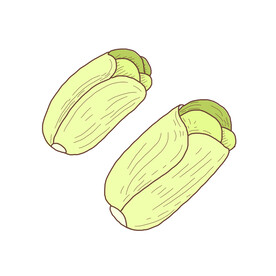 娃娃菜