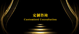 时尚商务晚会海报