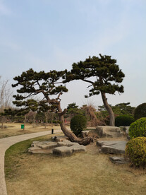 公园风景