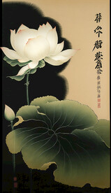 荷花图
