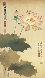 荷花图