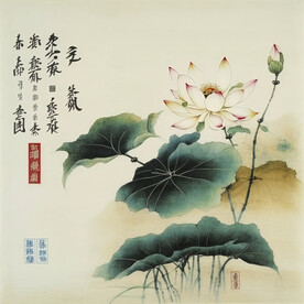 荷花图