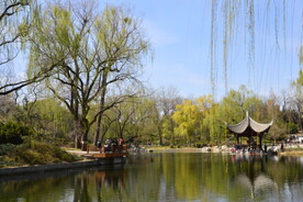 公园风景  