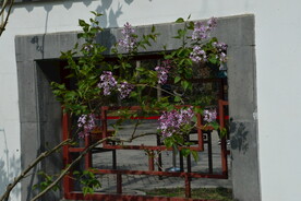 公园风景