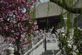 公园风景 