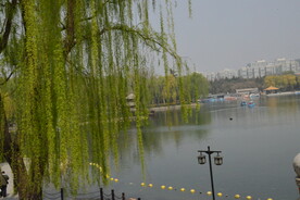 公园风景 