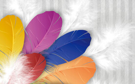 多彩羽毛唯美背景装饰画