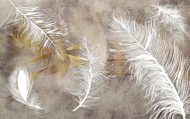 复古背景白色羽毛装饰画