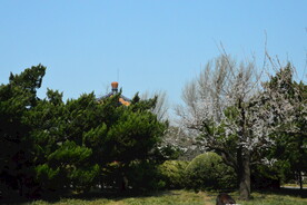 公园风景 