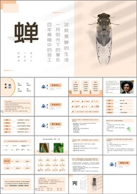 蝉