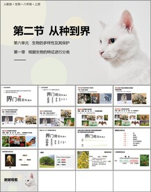 从种到界