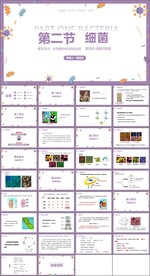 细菌